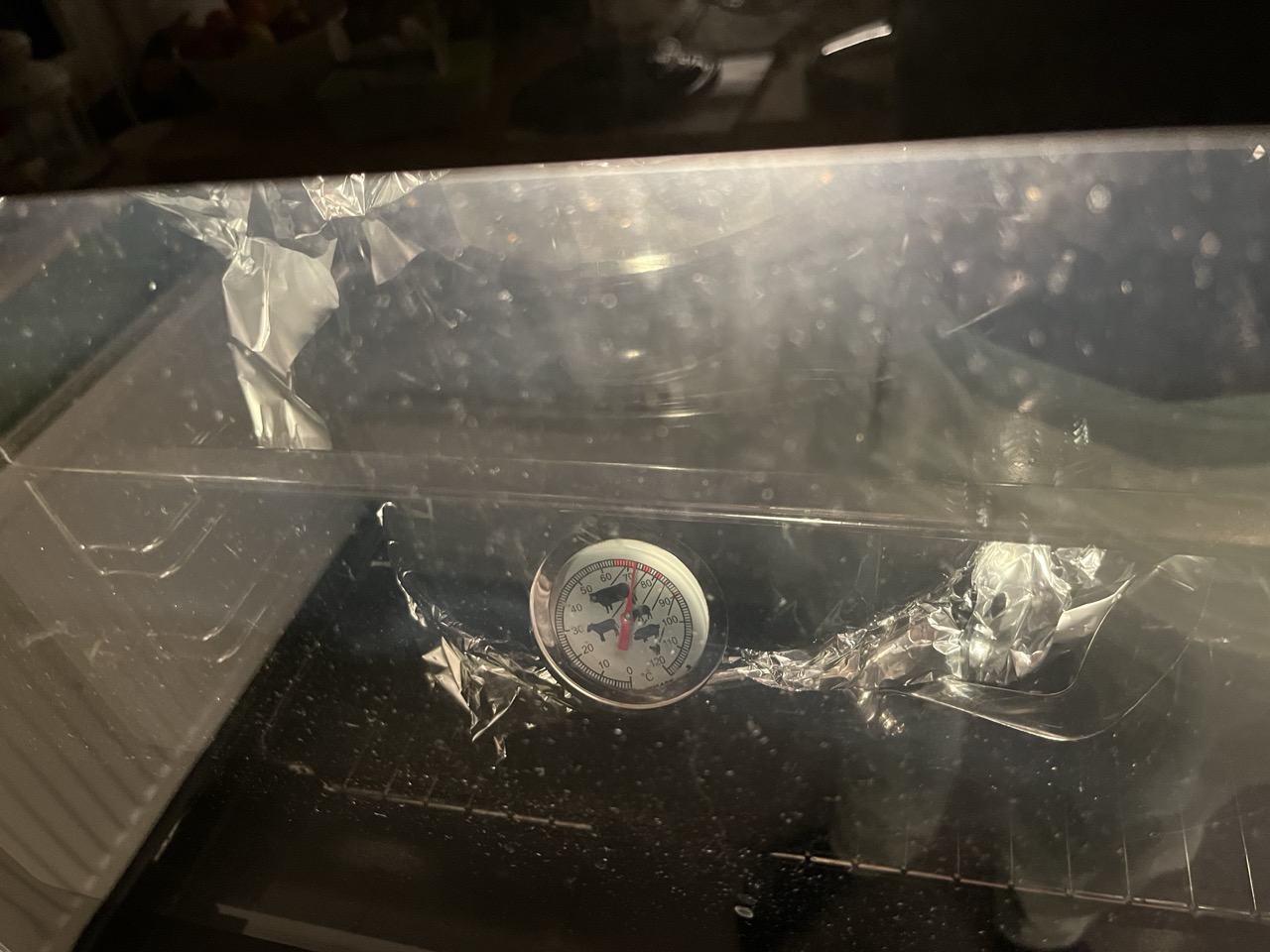 Groß (IMG_4681).jpeg